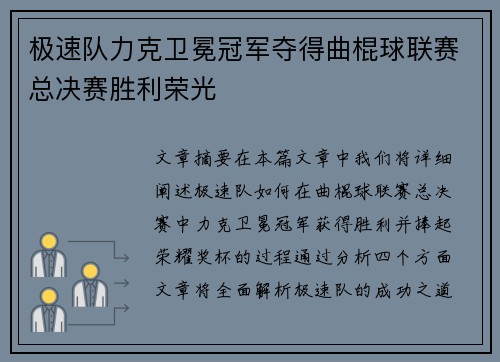 极速队力克卫冕冠军夺得曲棍球联赛总决赛胜利荣光