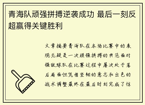 青海队顽强拼搏逆袭成功 最后一刻反超赢得关键胜利